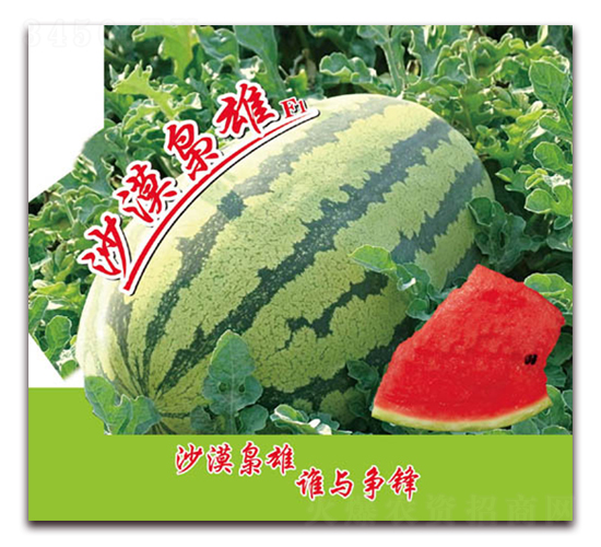 ɳĮ�n��-���ϷN��-���÷N��