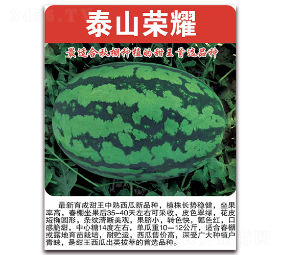 ̩ɽ�sҫ-���ϷN��-���÷N��