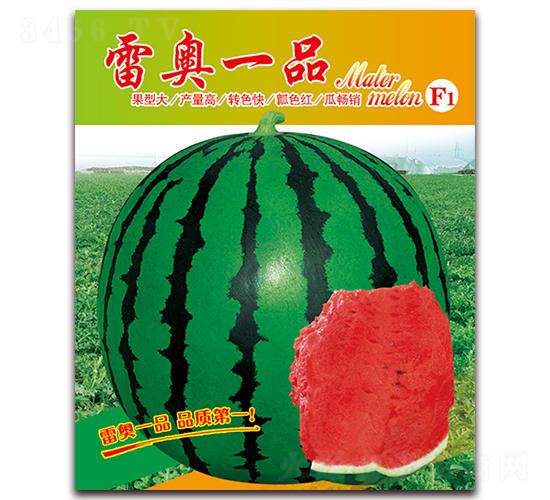 �׊WһƷ-���ϷN��-���÷N��