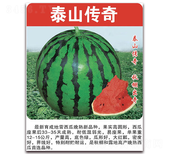 ̩ɽ����-���ϷN��-���÷N��