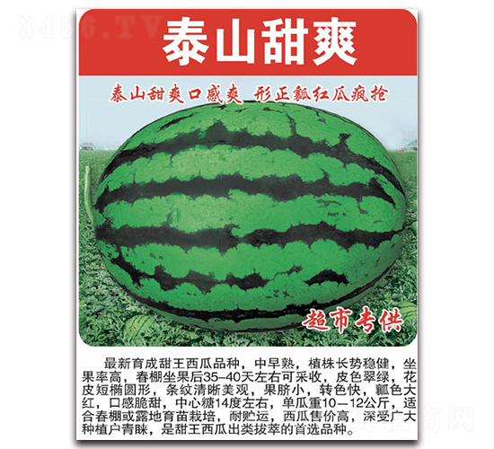 ̩ɽ��ˬ-���ϷN��-���÷N��