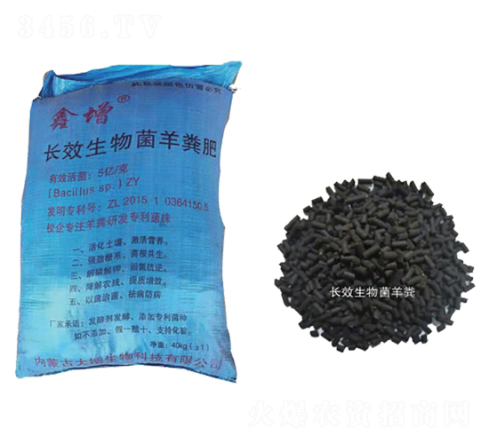 �LЧ�������S�ʣ��w����-��������