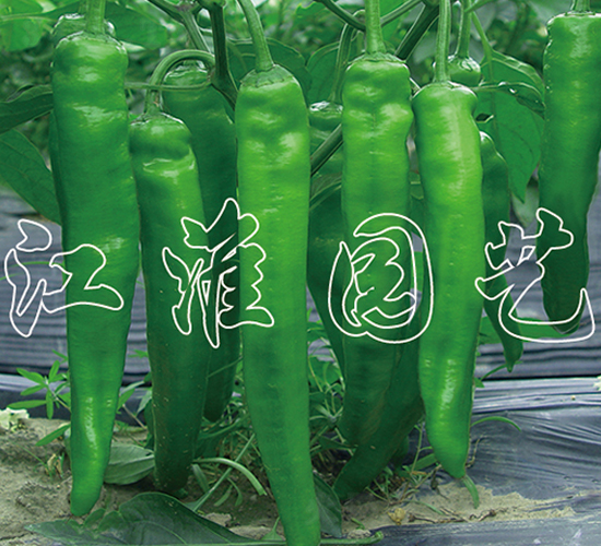 �G��-�����N��-�����@ˇ