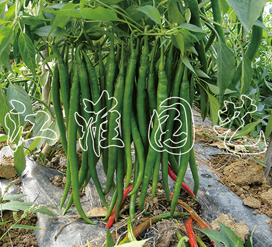 ��(y��u)��-�����N��-�����@ˇ