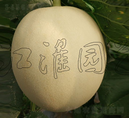 ����4̖(h��o)-��ϷN��-�����@ˇ