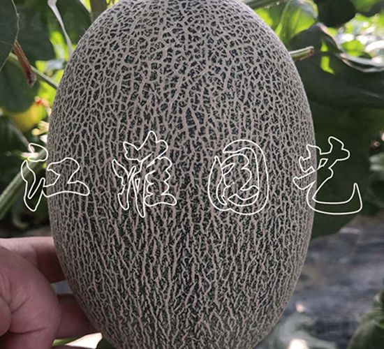 ������19̖-��ϷN��-�����@ˇ