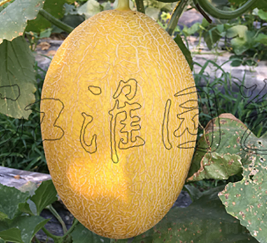 �W��10̖-��ϷN��-�����@ˇ