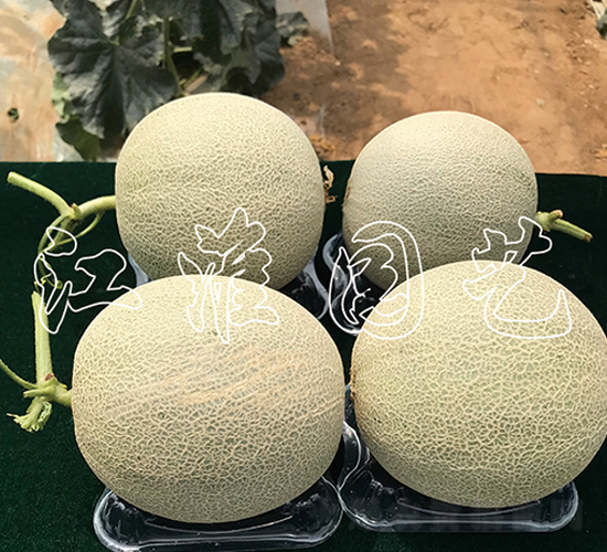 ����4̖-��ϷN��-�����@ˇ