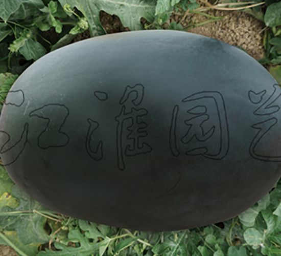 ī��11̖-���ϷN��-�����@ˇ