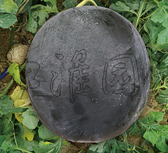 ī��7̖-���ϷN��-�����@ˇ