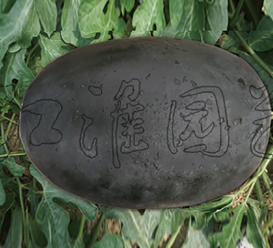 ī��6̖-���ϷN��-�����@ˇ