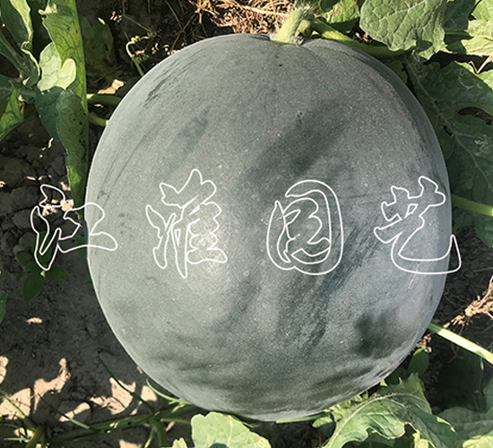 ī��17̖(h��o)-���ϷN��-�����@ˇ