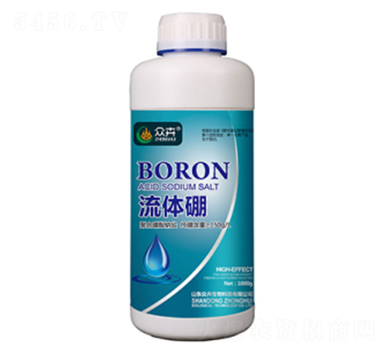 1000g���w��-��������