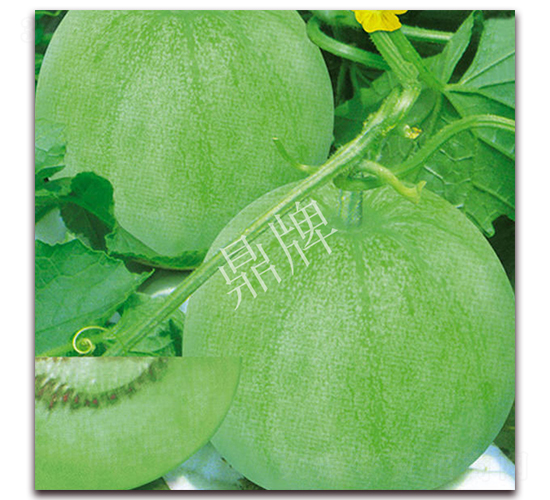 ����118-��ϷN��-���ƷN��