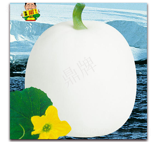 ѩ��-��ϷN��-���ƷN��