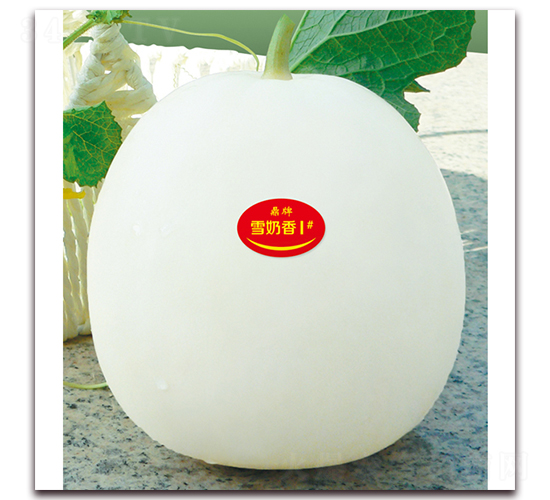 ѩ����1̖-��ϷN��-���ƷN��