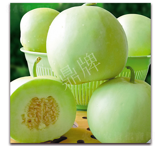 ������2̖-��ϷN��-���ƷN��