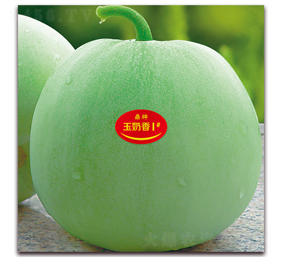 ������1̖-��ϷN��-���ƷN��