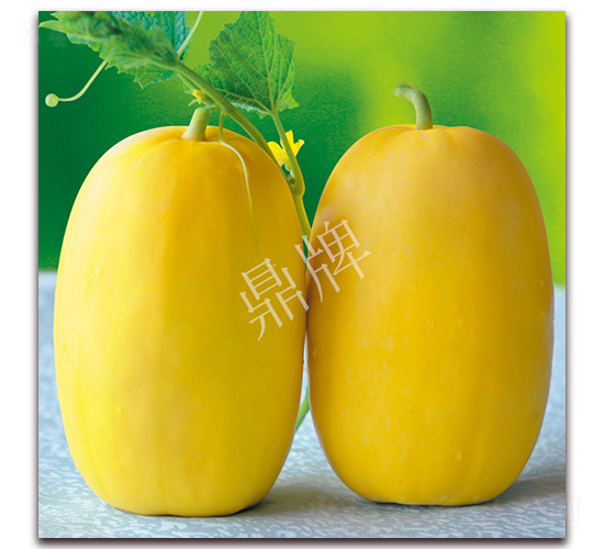 ʡ��108-��ϷN��-���ƷN��