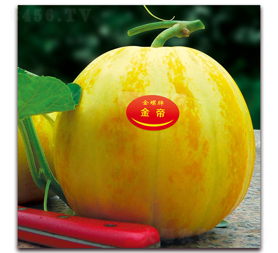 ���-��ϷN��-���ƷN��