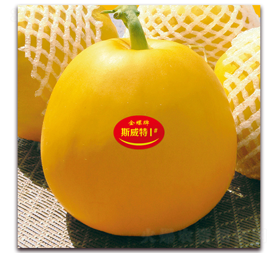 ˹����1̖-��ϷN��-���ƷN��