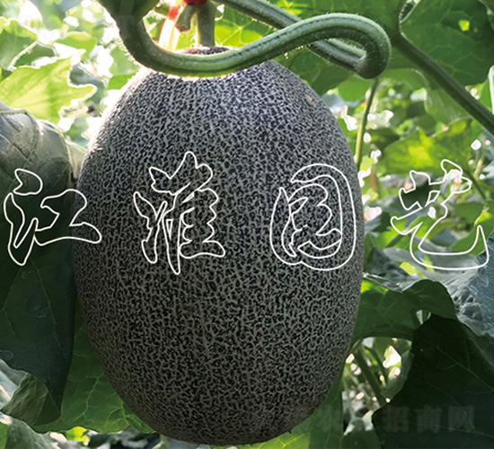 ���1̖-��ϷN��-�����@ˇ