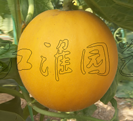 ��ͯ3̖-��ϷN��-�����@ˇ