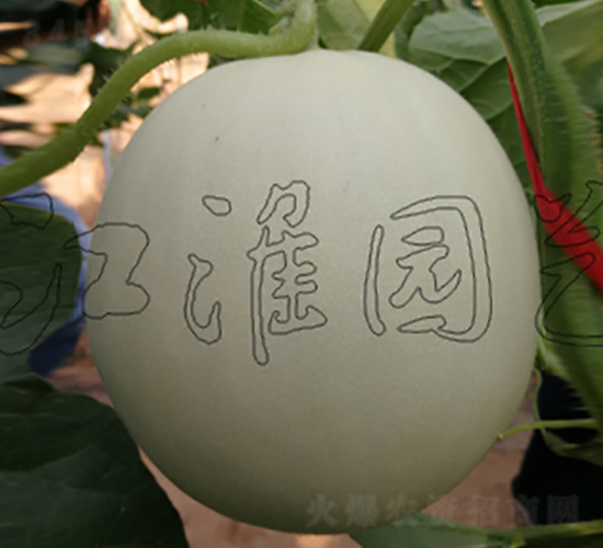 ���Sһ̖(h��o)-��ϷN��-�����@ˇ