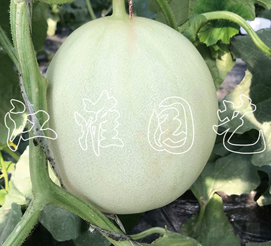 �y��3̖-��ϷN��-�����@ˇ