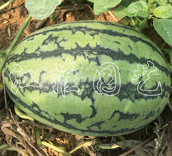 ׿Խ1̖(h��o)-���ϷN��-�����@ˇ