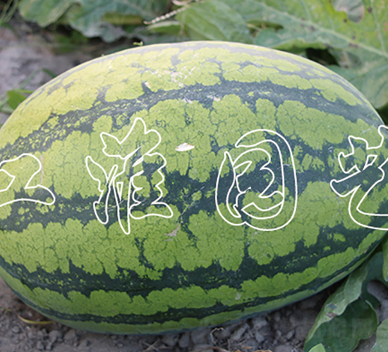 ��ˇ����3̖-���ϷN��-�����@ˇ