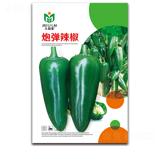 �ڏ�����-�����N��-���i�N�I(y��)