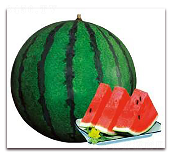 �����Ѿ���-���ϷN��-���i�N�I(y��)