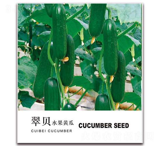 ��ؐˮ���S��-ˮ���S�ϷN��-���i�N�I(y��)