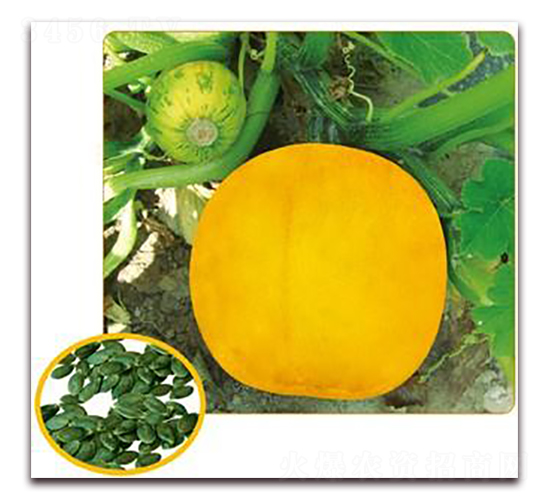 �����-�o(w��)���ϹϷN��-���i�N�I(y��)