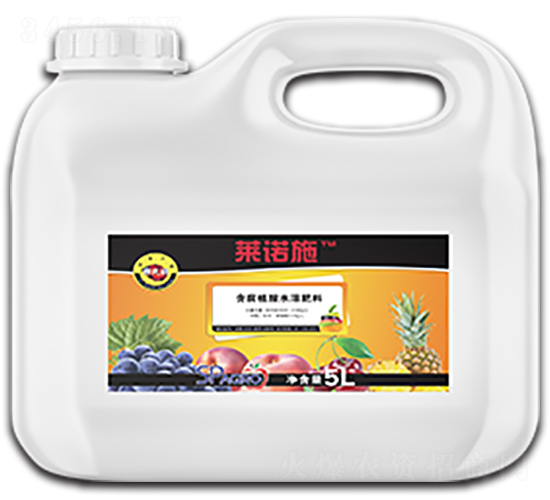 ���܏�����-�R�Zʩ-˹�͸��_