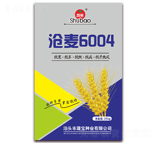 ����6004-С���N��-�ߌ��N�I(y��)