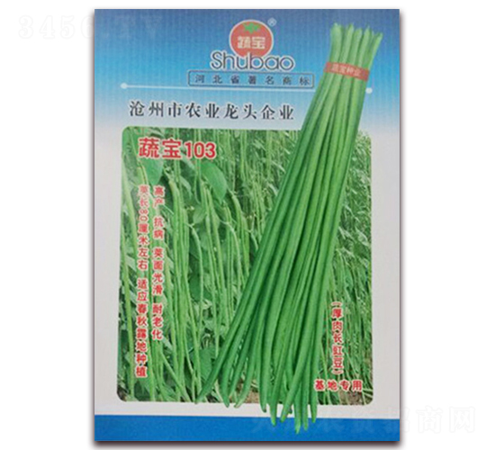 �ߌ�103-�����N��-�ߌ��N�I(y��)