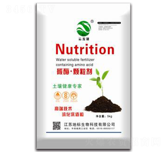 ̼ø���w����-�ؘ�����