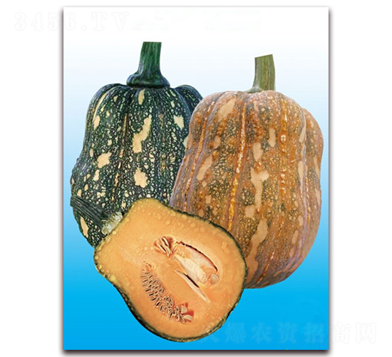 ����186-�ϹϷN��-�|������