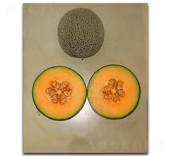 ��[008-��ϷN��-�|������