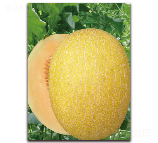 ��[����-��ϷN��-�|������