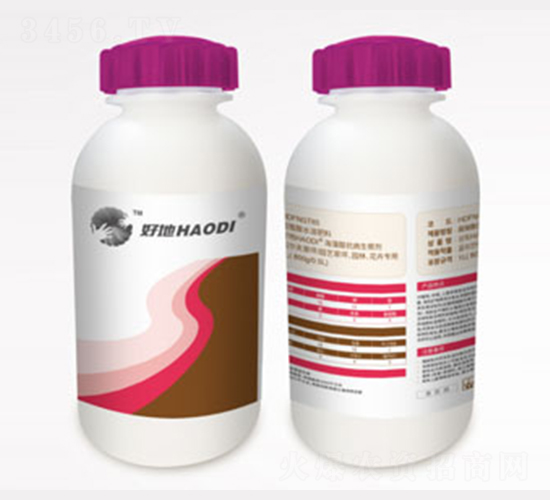 �����Ό��������-�õ�-�õ��r(n��ng)�I(y��)