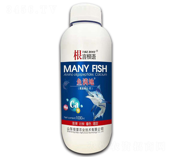 ���������}-���Ը��Z-�����r(n��ng)�I(y��)