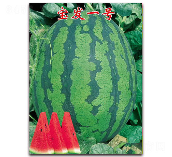 ���l(f��)һ̖(h��o)-���ϷN��-�|������