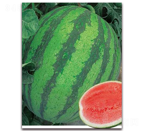 ����200-���ϷN��-�|������