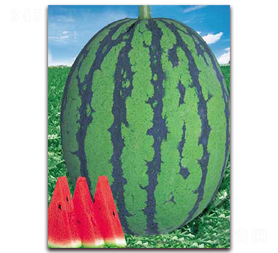 �|������-���ϷN��-�|������