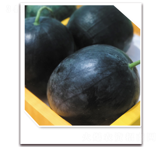 �P׿����̖(h��o)-���ϷN��-�|������