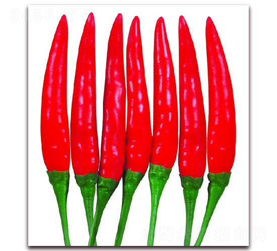 ����017-�����N��-�|������