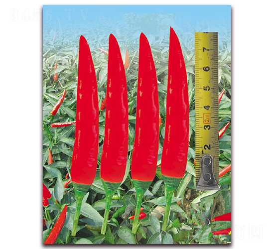 ����656-�����N��-�|������